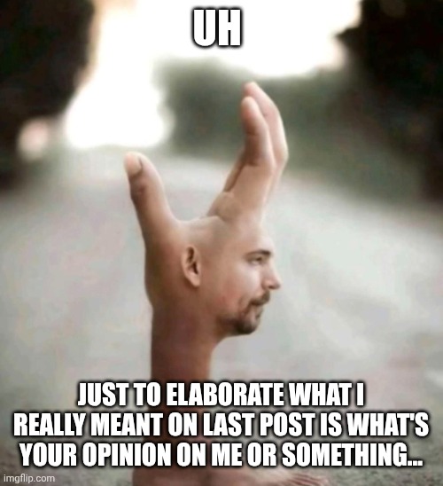 opinion on the admin(me) ofc, not the gimmick. | UH; JUST TO ELABORATE WHAT I REALLY MEANT ON LAST POST IS WHAT'S YOUR OPINION ON ME OR SOMETHING... | made w/ Imgflip meme maker