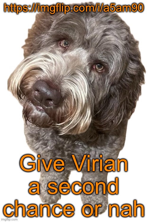 Reposted bc my sped ass put the wrong link | https://imgflip.com/i/a5am90; Give Virian a second chance or nah | image tagged in norther's dog | made w/ Imgflip meme maker