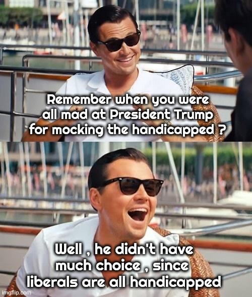 It's true , not sorry | Remember when you were all mad at President Trump for mocking the handicapped ? Well , he didn't have much choice , since 
liberals are all handicapped | image tagged in memes,stupid liberals,self inflicted,by choice,no sympathy,your own fault | made w/ Imgflip meme maker