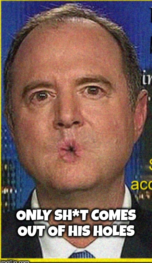 Adam Schiff | ONLY SH*T COMES OUT OF HIS HOLES | image tagged in adam schiff | made w/ Imgflip meme maker
