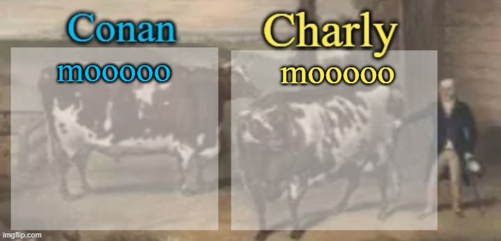 conan + charly cows temp v1 | mooooo; mooooo | image tagged in conan charly cows temp v1 | made w/ Imgflip meme maker