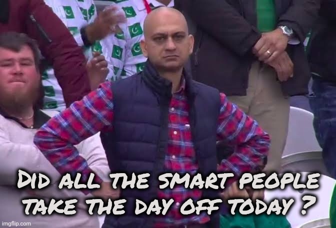 Disappointed Man | Did all the smart people take the day off today ? | image tagged in disappointed man | made w/ Imgflip meme maker