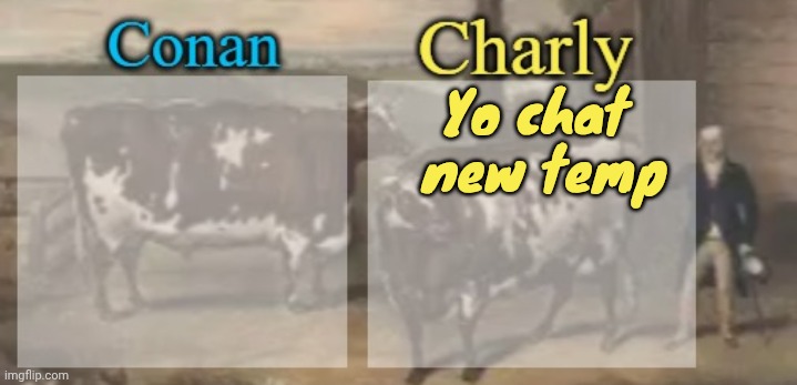 conan + charly cows temp v1 | Yo chat  new temp | image tagged in conan charly cows temp v1 | made w/ Imgflip meme maker