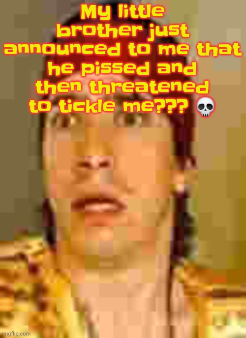 What is my  household even about?? | My little brother just announced to me that he pissed and then threatened to tickle me??? 💀 | image tagged in when the | made w/ Imgflip meme maker