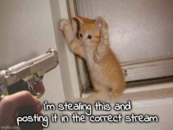 cat robbery | I'm stealing this and posting it in the correct stream | image tagged in cat robbery | made w/ Imgflip meme maker