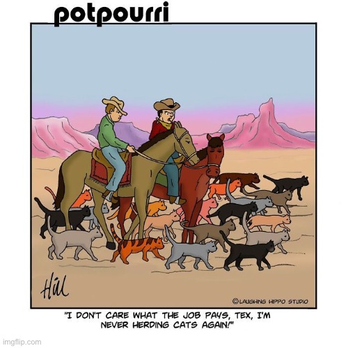 It’s a tough job… | image tagged in cats,potpourri,cat herding,comics | made w/ Imgflip meme maker