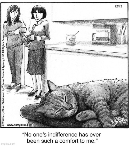 An indifferent emotional support animal… | image tagged in cats,comics,harry bliss,indifference,comfort | made w/ Imgflip meme maker
