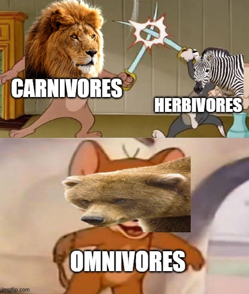 can you relate | CARNIVORES; HERBIVORES; OMNIVORES | image tagged in tom and jerry swordfight | made w/ Imgflip meme maker