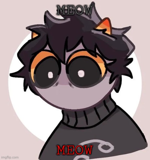 karkat | MEOW; MEOW | image tagged in karkat | made w/ Imgflip meme maker