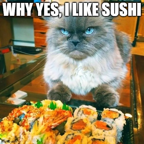 Sushi Cat | WHY YES, I LIKE SUSHI | image tagged in cats | made w/ Imgflip meme maker