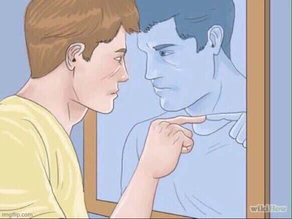 WikiHow Mirror | image tagged in wikihow mirror | made w/ Imgflip meme maker