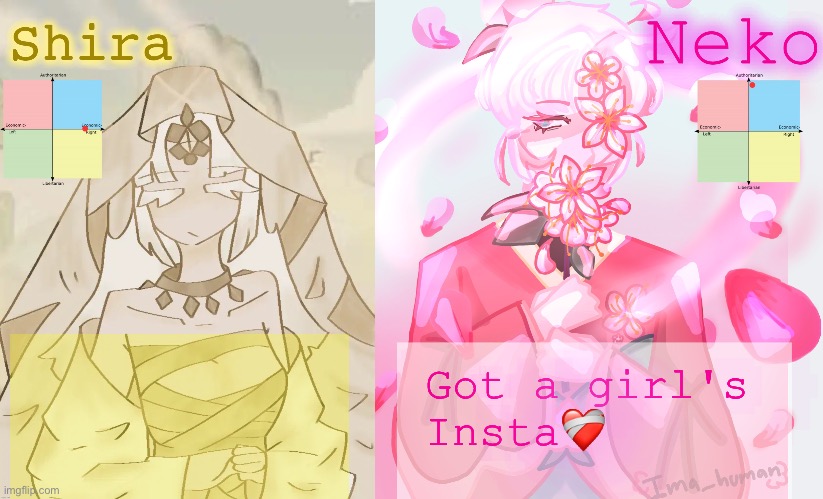 Neko and Shira shared temp | Got a girl's Insta❤️‍🩹 | image tagged in neko and shira shared temp | made w/ Imgflip meme maker