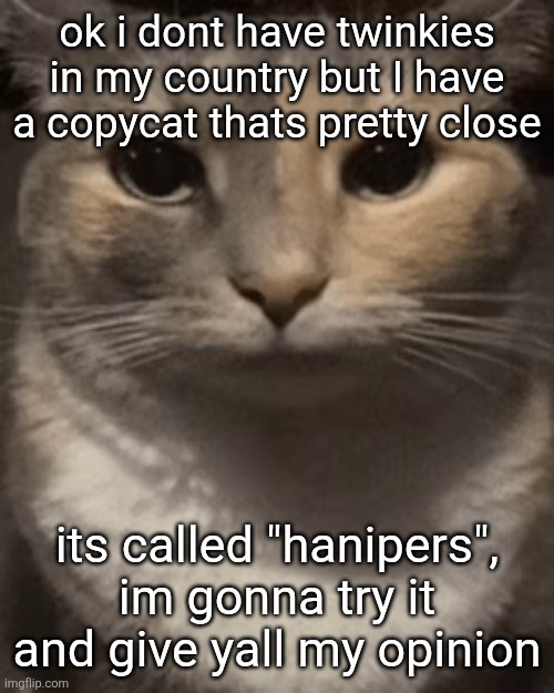 brochacho | ok i dont have twinkies in my country but I have a copycat thats pretty close; its called "hanipers", im gonna try it and give yall my opinion | image tagged in brochacho | made w/ Imgflip meme maker