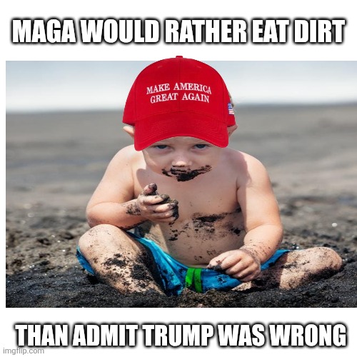 Blank Transparent Square Meme | MAGA WOULD RATHER EAT DIRT THAN ADMIT TRUMP WAS WRONG | image tagged in memes,blank transparent square | made w/ Imgflip meme maker