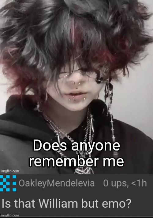My version of Rareinsults | image tagged in william,rareinsults,rare insults,cursed comments,comments | made w/ Imgflip meme maker