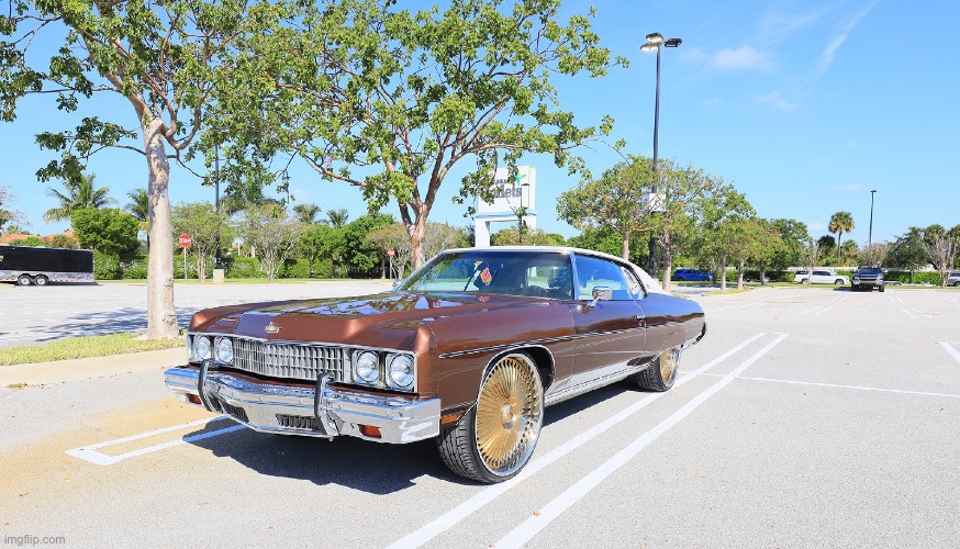 nah because wtf is a donk? | image tagged in donk,vehicle | made w/ Imgflip meme maker