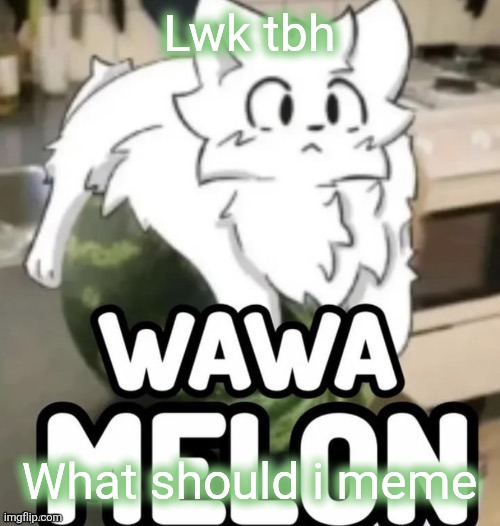 The Wawa Melon | Lwk tbh; What should i meme | image tagged in the wawa melon | made w/ Imgflip meme maker