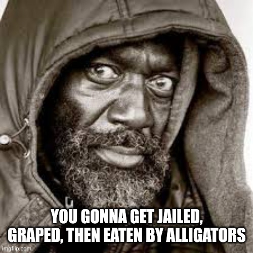 Raped | YOU GONNA GET JAILED, GRAPED, THEN EATEN BY ALLIGATORS | image tagged in raped | made w/ Imgflip meme maker