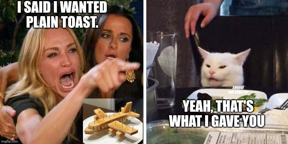 Smudge that darn cat with Karen | I SAID I WANTED PLAIN TOAST. YEAH, THAT'S WHAT I GAVE YOU | image tagged in smudge that darn cat with karen | made w/ Imgflip meme maker
