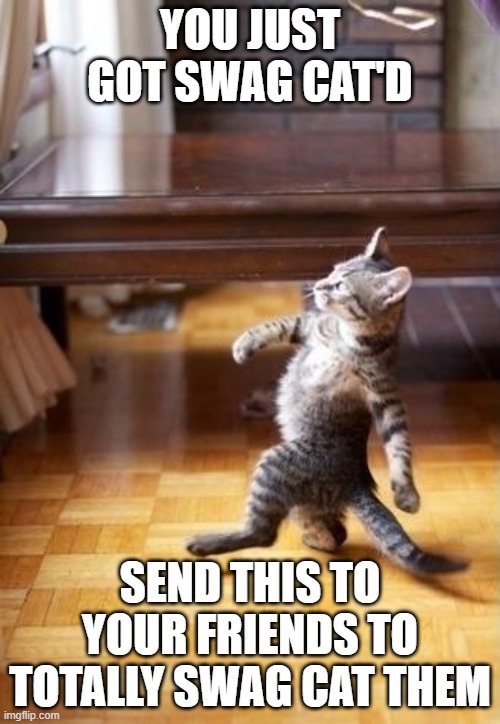 Cool Cat Stroll Meme | YOU JUST GOT SWAG CAT'D; SEND THIS TO YOUR FRIENDS TO TOTALLY SWAG CAT THEM | image tagged in memes,cool cat stroll | made w/ Imgflip meme maker
