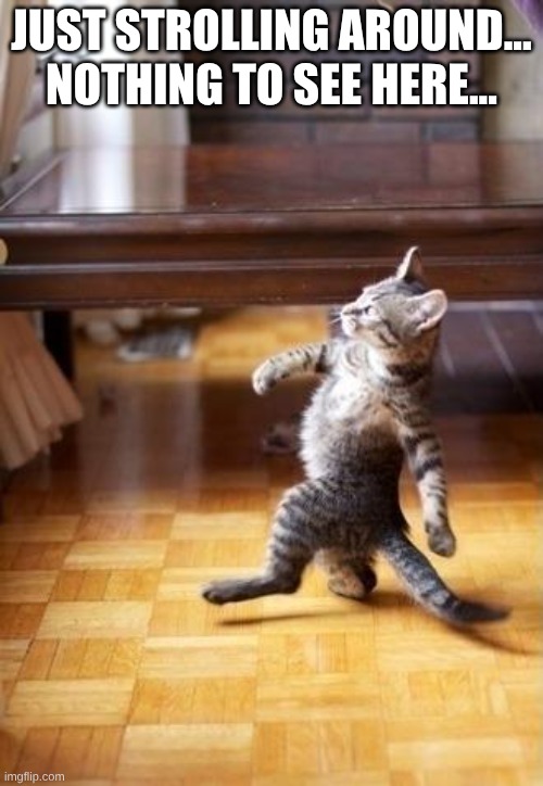 Just strolling... | JUST STROLLING AROUND... NOTHING TO SEE HERE... | image tagged in memes,cool cat stroll,walking,wow,nothing to see here,wtf is this | made w/ Imgflip meme maker