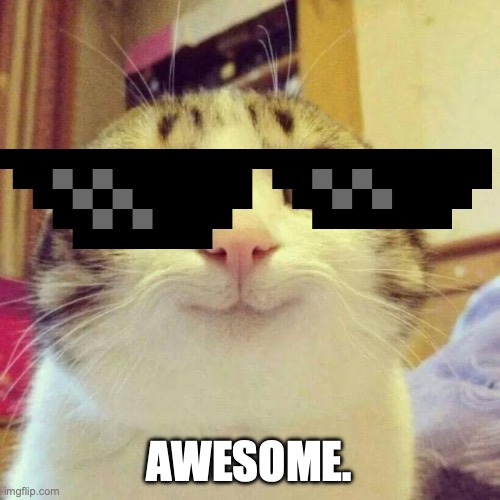 Smiling Cat Meme | AWESOME. | image tagged in memes,smiling cat | made w/ Imgflip meme maker