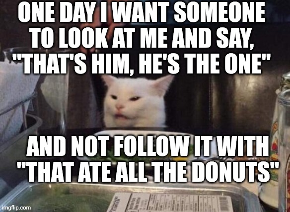 Smudge that darn cat | ONE DAY I WANT SOMEONE TO LOOK AT ME AND SAY, "THAT'S HIM, HE'S THE ONE"; AND NOT FOLLOW IT WITH "THAT ATE ALL THE DONUTS" | image tagged in smudge that darn cat | made w/ Imgflip meme maker