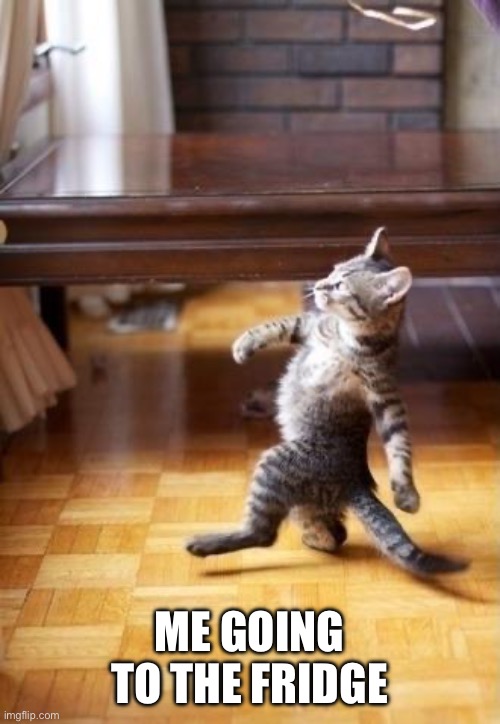 I am Hungary | ME GOING TO THE FRIDGE | image tagged in memes,cool cat stroll | made w/ Imgflip meme maker
