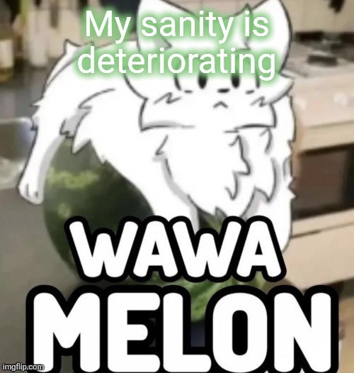 The Wawa Melon | My sanity is deteriorating | image tagged in the wawa melon | made w/ Imgflip meme maker