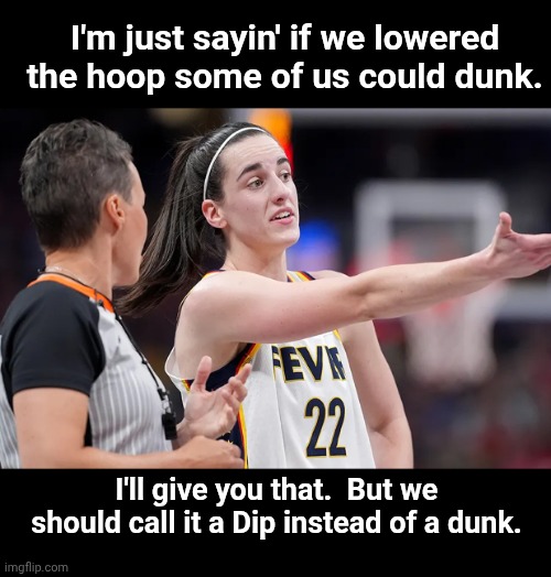Let them dip | I'm just sayin' if we lowered the hoop some of us could dunk. I'll give you that.  But we should call it a Dip instead of a dunk. | image tagged in wnba | made w/ Imgflip meme maker