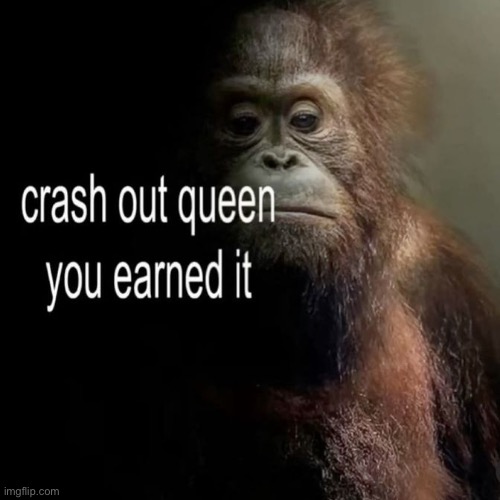 crash out queen | image tagged in crash out queen | made w/ Imgflip meme maker
