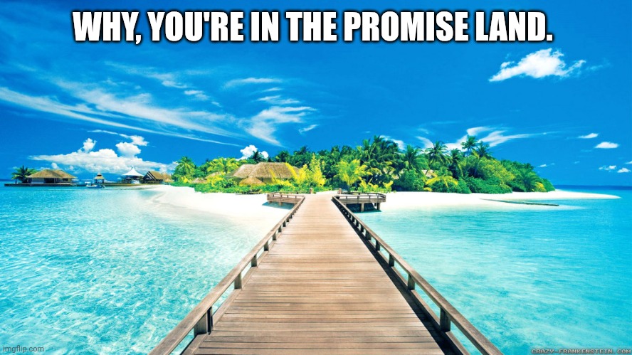 paradise | WHY, YOU'RE IN THE PROMISE LAND. | image tagged in paradise | made w/ Imgflip meme maker
