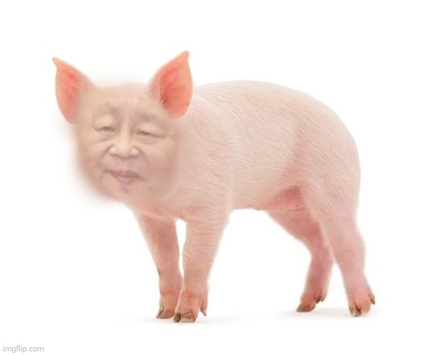 Xi Jin-Pig | image tagged in memes,china,xi jinping,fun,lol | made w/ Imgflip meme maker