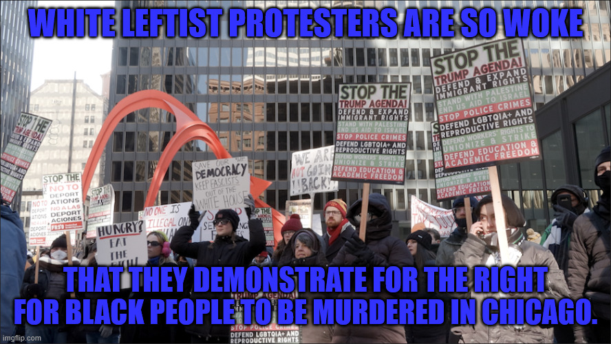 White liberals hate black people | WHITE LEFTIST PROTESTERS ARE SO WOKE; THAT THEY DEMONSTRATE FOR THE RIGHT FOR BLACK PEOPLE TO BE MURDERED IN CHICAGO. | image tagged in protesters | made w/ Imgflip meme maker