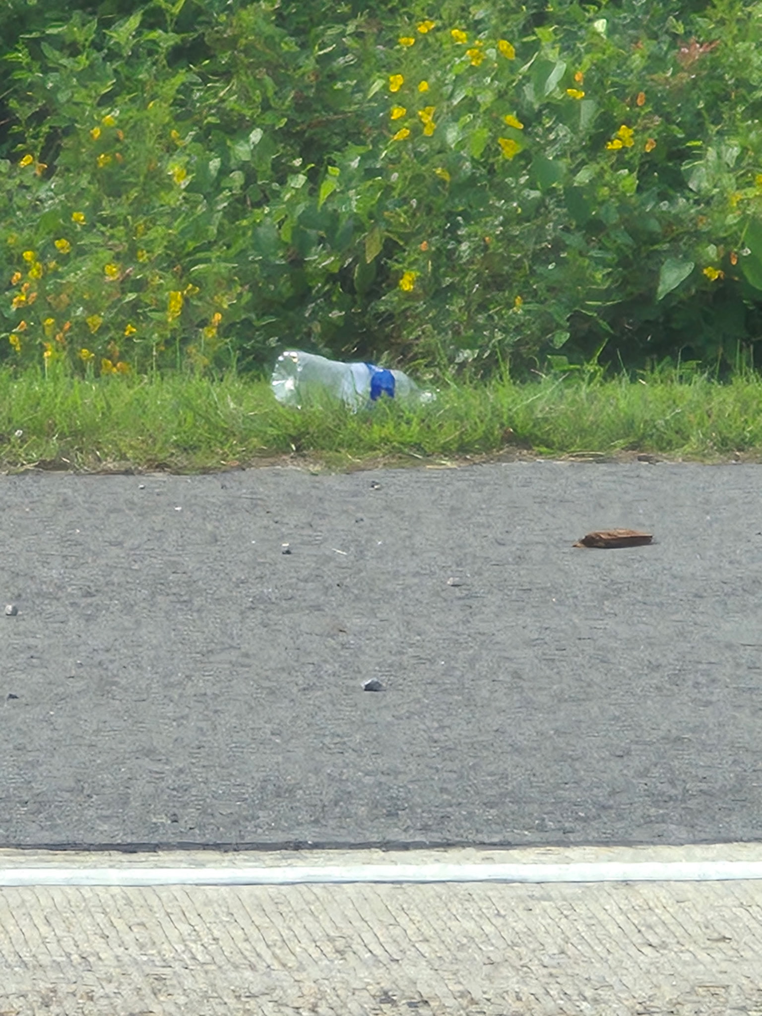 Water Blank Meme Template