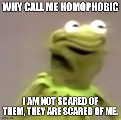 Common sense | WHY CALL ME HOMOPHOBIC; I AM NOT SCARED OF THEM, THEY ARE SCARED OF ME. | image tagged in kermit weird face | made w/ Imgflip meme maker