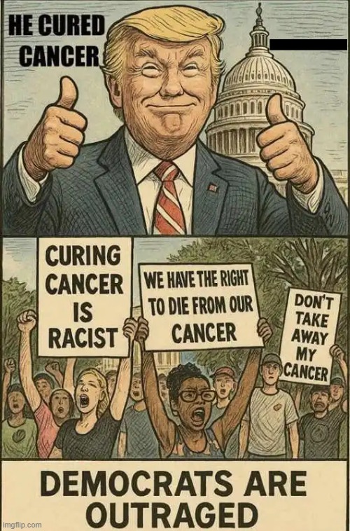 When they rejected DOGE & all that is good for America, they really showed themselves. | image tagged in donald trump,vs,idiots,crying democrats | made w/ Imgflip meme maker
