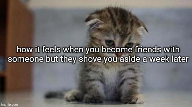 Sad kitten | how it feels when you become friends with someone but they shove you aside a week later | image tagged in sad kitten | made w/ Imgflip meme maker