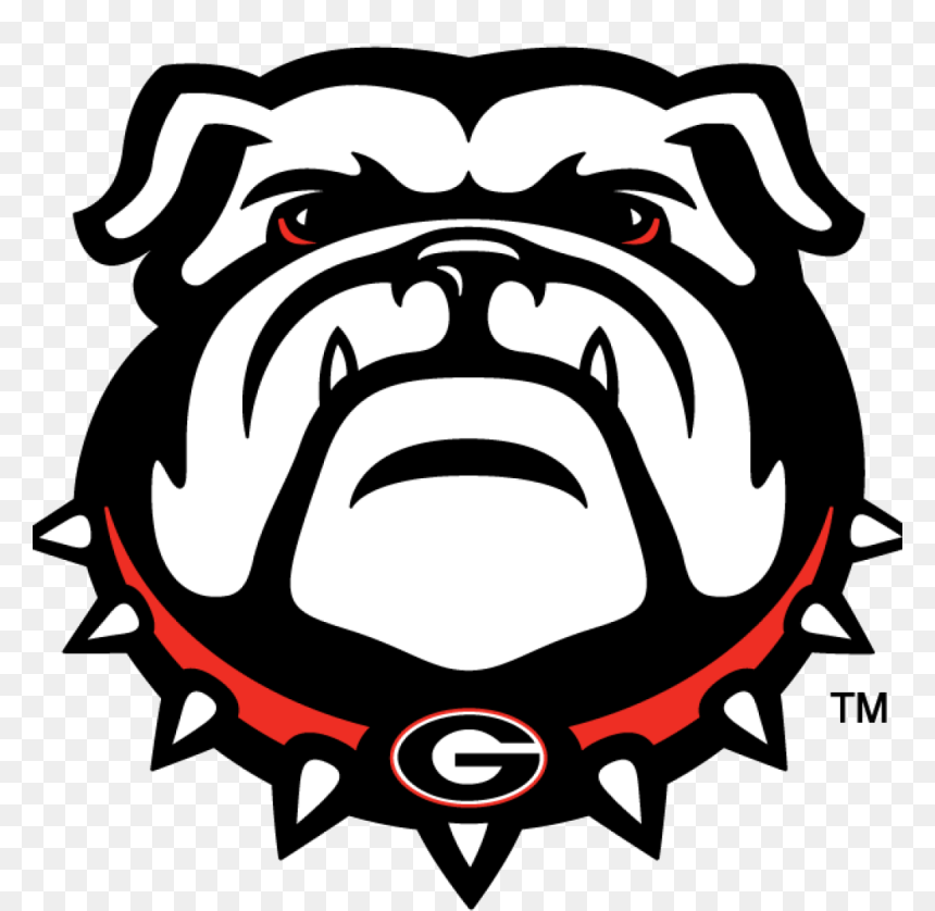 Sec now 2025 Blank Meme Template