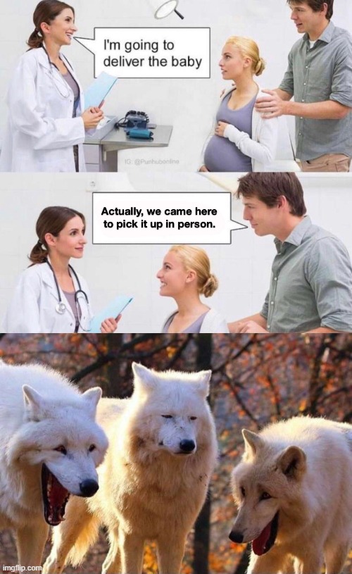 Came to pick him up in person | image tagged in laughing wolf,dank memes,dad jokes | made w/ Imgflip meme maker