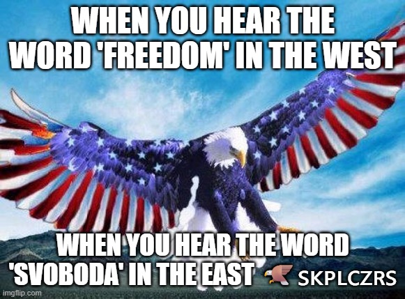 Freedom eagle | WHEN YOU HEAR THE WORD 'FREEDOM' IN THE WEST; WHEN YOU HEAR THE WORD 'SVOBODA' IN THE EAST 🦅🇸🇰🇵🇱🇨🇿🇷🇸 | image tagged in freedom eagle,slavic lives matter | made w/ Imgflip meme maker