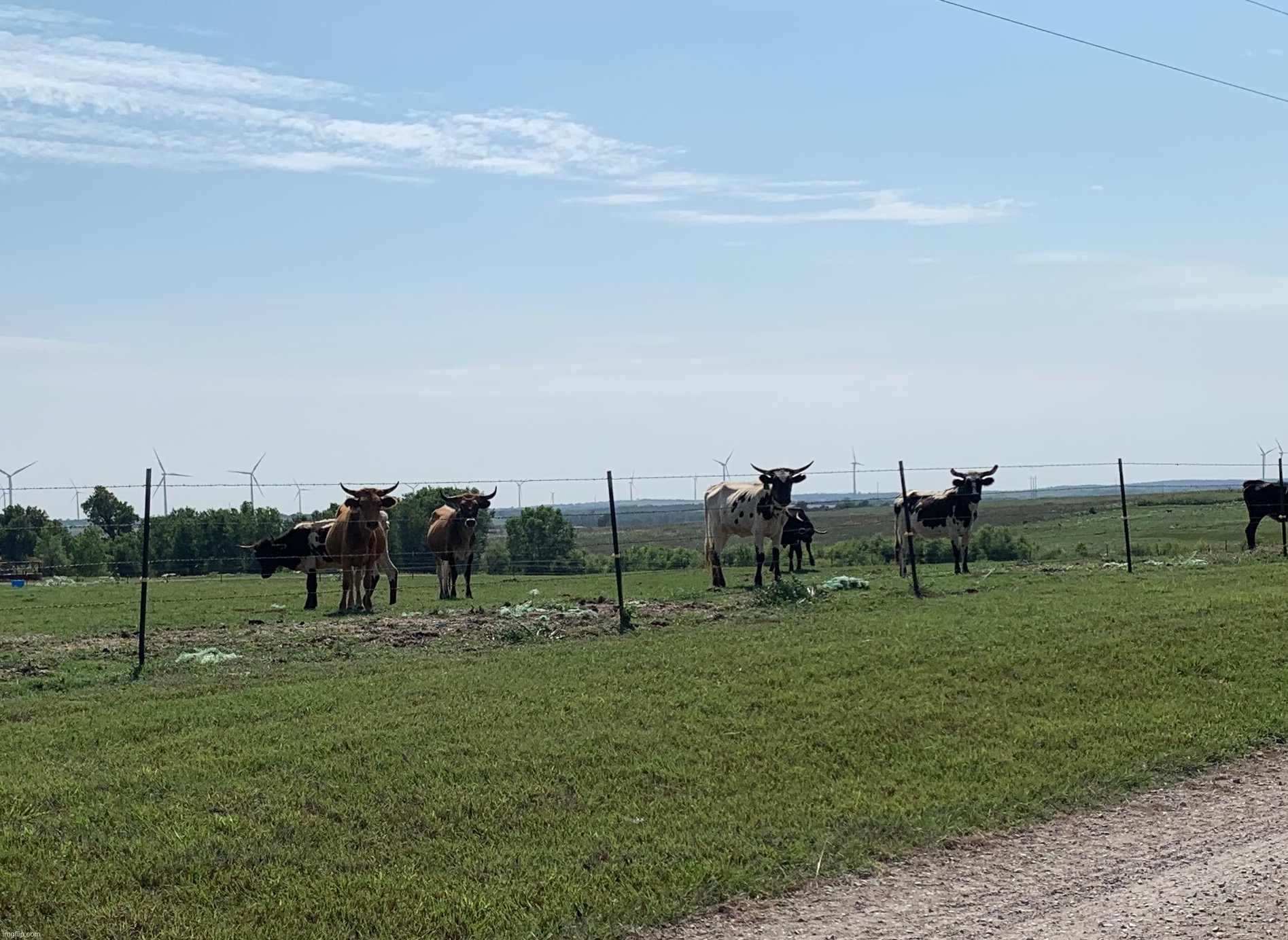 TheHugeCows | made w/ Imgflip meme maker