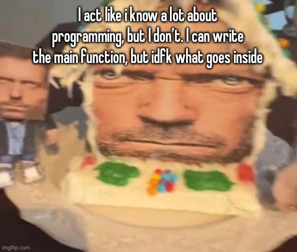 gingerbread house | I act like i know a lot about programming, but I don’t. I can write the main function, but idfk what goes inside | image tagged in gingerbread house | made w/ Imgflip meme maker