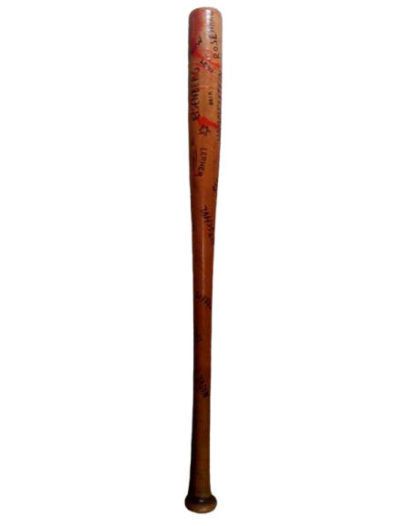 Baseball bat Blank Meme Template