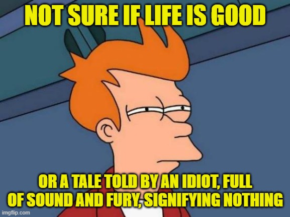 Futurama Fry | NOT SURE IF LIFE IS GOOD; OR A TALE TOLD BY AN IDIOT, FULL OF SOUND AND FURY, SIGNIFYING NOTHING | image tagged in memes,futurama fry,life,life is good,life sucks,macbeth | made w/ Imgflip meme maker