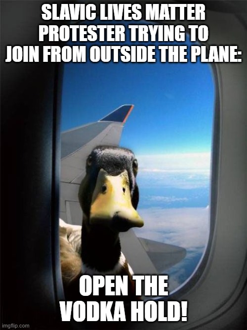 Let Me In Duck | SLAVIC LIVES MATTER PROTESTER TRYING TO JOIN FROM OUTSIDE THE PLANE:; OPEN THE VODKA HOLD! | image tagged in let me in duck,slavic lives matter | made w/ Imgflip meme maker