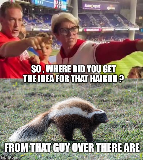 Phillies Karen meme | SO , WHERE DID YOU GET THE IDEA FOR THAT HAIRDO ? FROM THAT GUY OVER THERE ARE | image tagged in baseball | made w/ Imgflip meme maker