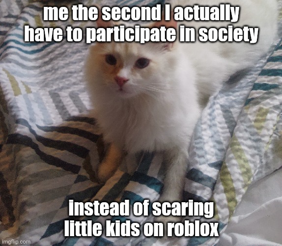 my favorite activity is ruining the days of young gremlins | me the second I actually have to participate in society; instead of scaring little kids on roblox | image tagged in cat,roblox | made w/ Imgflip meme maker