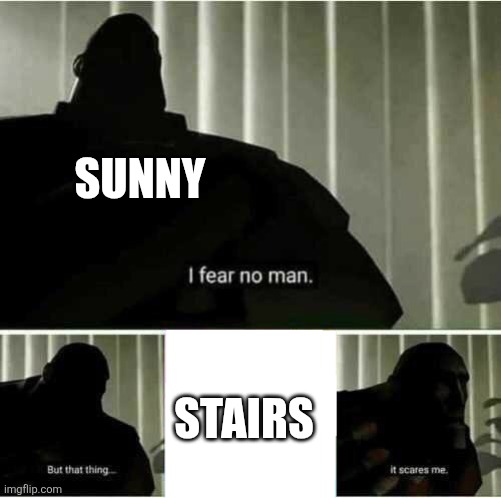 SPOOPY!!!1!!1 | SUNNY; STAIRS | image tagged in i fear no man | made w/ Imgflip meme maker