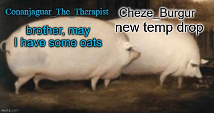 conan + cheze shared pig temp | new temp drop; brother, may I have some oats | image tagged in conan cheze shared pig temp | made w/ Imgflip meme maker
